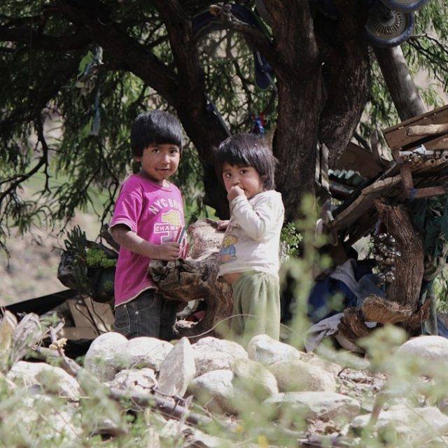 two children playing under tree