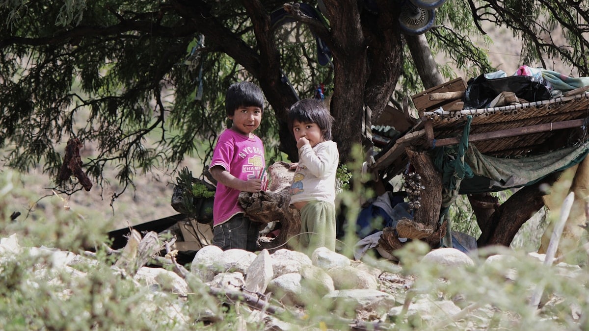 two children playing under tree